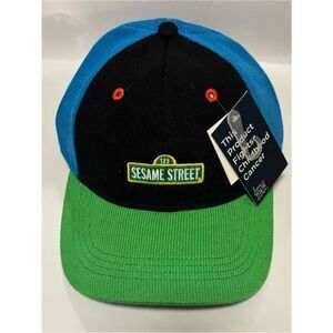 Love Your Melon Unisex Sesame Street Colorblock Baseball Cap ~ NWT